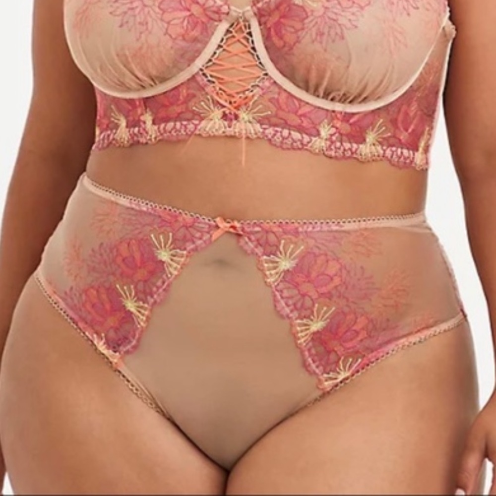 Mesh Panties